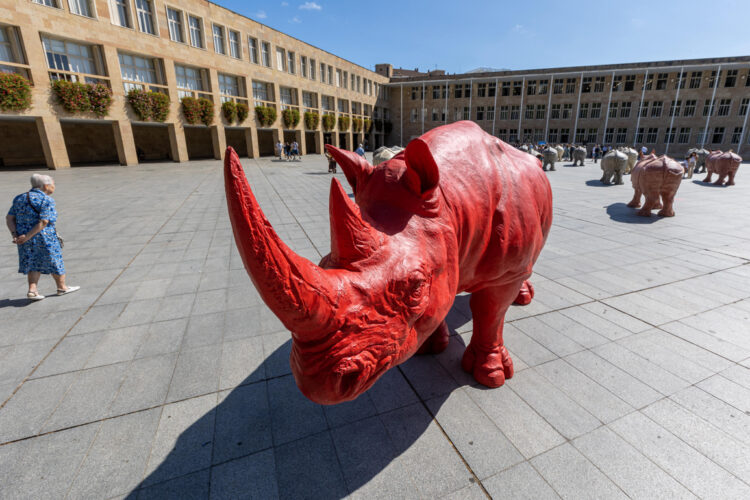 Esculturas de rinocerontes emplazadas por Roberto Fabelo, en la plaza del Ayuntamiento de Logroño, España. Foto: Raquel Manzanares / EFE.