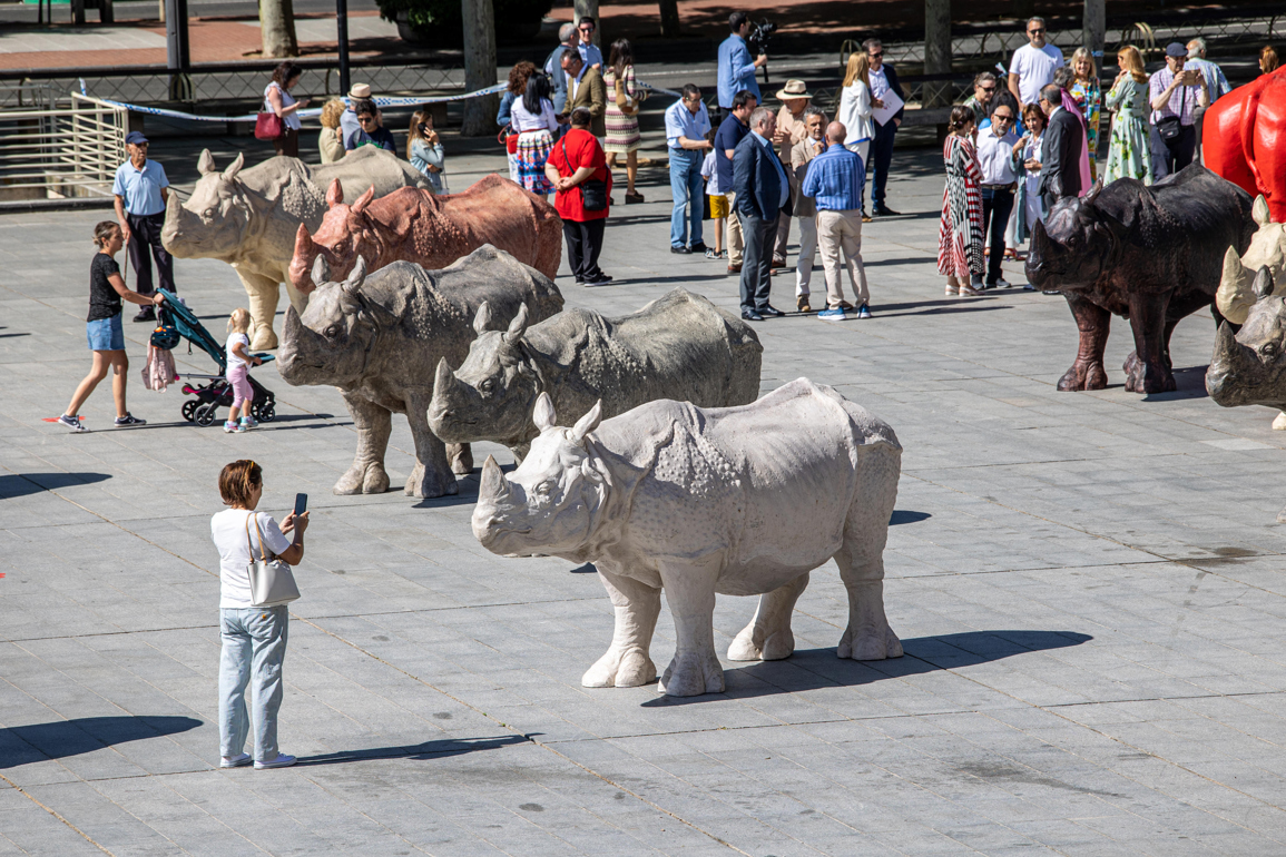 Esculturas de rinocerontes emplazadas por Roberto Fabelo, en la plaza del Ayuntamiento de Logroño, España. Foto: Raquel Manzanares / EFE.