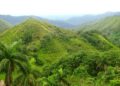 La Sierra del Rosario fue la primera reserva de la biosfera cubana. Foto: Corredor Biológico Sierra Del Rosario-Mil Cumbres/Facebook.