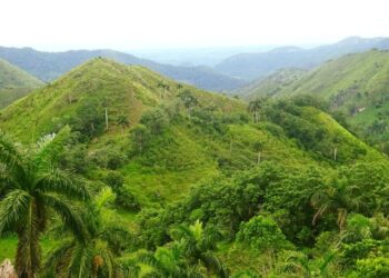 La Sierra del Rosario fue la primera reserva de la biosfera cubana. Foto: Corredor Biológico Sierra Del Rosario-Mil Cumbres/Facebook.
