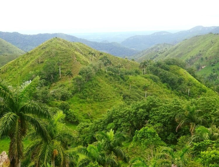 La Sierra del Rosario fue la primera reserva de la biosfera cubana. Foto: Corredor Biológico Sierra Del Rosario-Mil Cumbres/Facebook.
