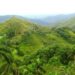La Sierra del Rosario fue la primera reserva de la biosfera cubana. Foto: Corredor Biológico Sierra Del Rosario-Mil Cumbres/Facebook.