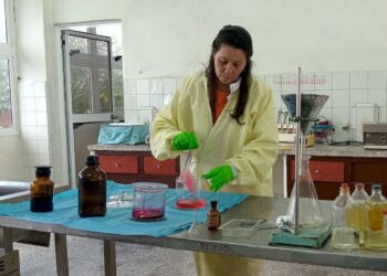 Entre las propiedades terapéuticas de la caña santa sobresalen las antihipertensivas e hipotensoras, antiespasmódica y antiasmática. Foto: TV Camagüey