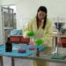 Entre las propiedades terapéuticas de la caña santa sobresalen las antihipertensivas e hipotensoras, antiespasmódica y antiasmática. Foto: TV Camagüey