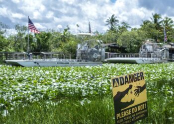 Una señalización en una de las zonas de los Everglades. Foto: CRISTOBAL HERRERA-ULASHKEVICH/ EFE/EPA.