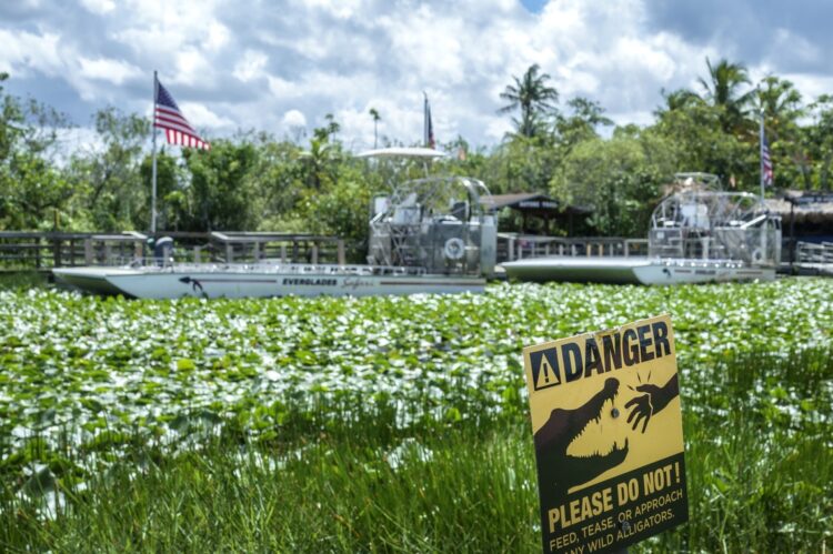 Una señalización en una de las zonas de los Everglades. Foto: CRISTOBAL HERRERA-ULASHKEVICH/ EFE/EPA.