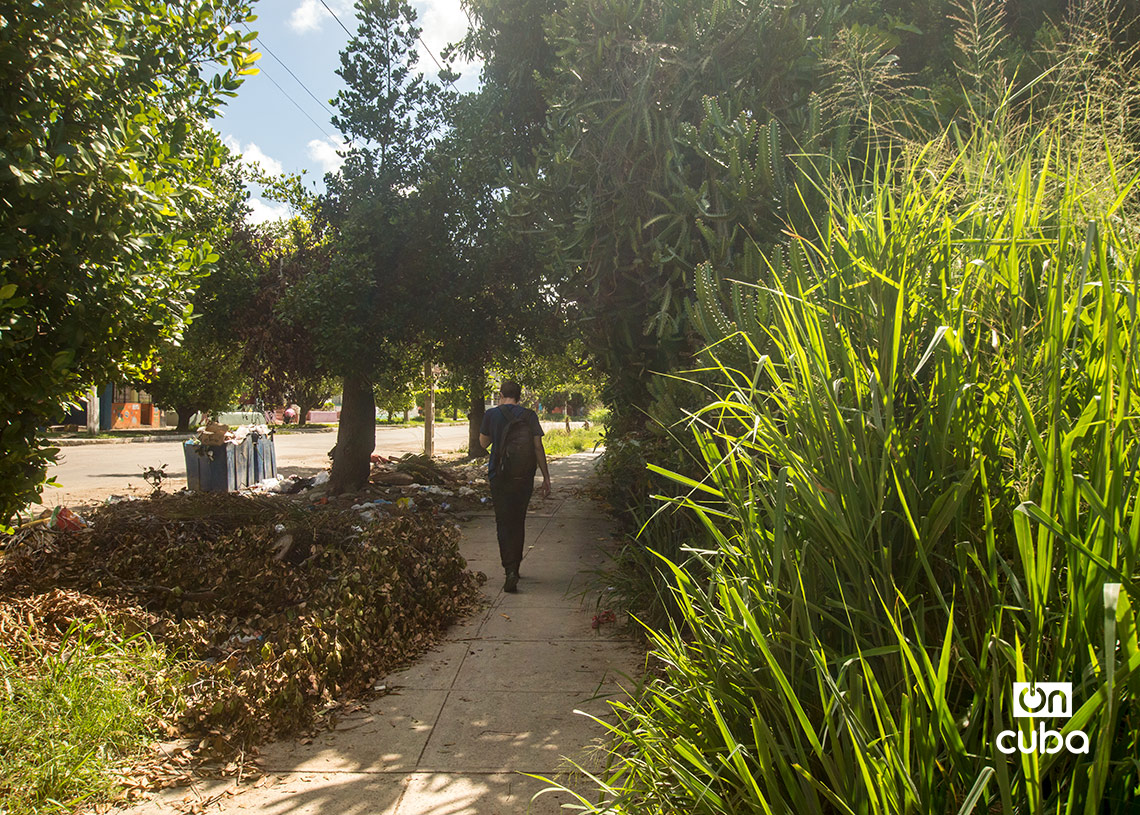 Avenida María Auxiliadora, en Víbora Park, La Habana. Foto: Otmaro Rodríguez.
