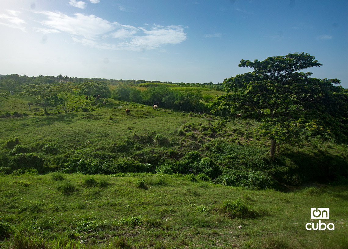 View from the train to Guanabo Beach, in East Havana. Photo: Otmaro Rodríguez.