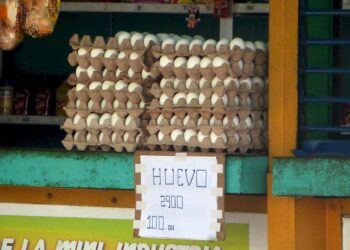 Venta de huevos en la avenida 26 en Nuevo Vedado, La Habana. Foto:  AMD