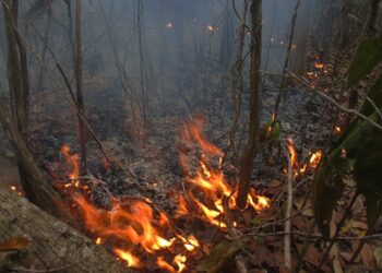 Incendio forestal en el municipio Niceto Pérez, en Guantánamo. Foto: Radio Guantánamo / Facebook.