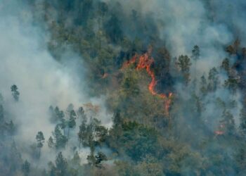Fotografía aérea de zonas afectadas por el incendio forestal de grandes proporciones que afecta la meseta de Pinares de Mayarí, en el municipio de Mayarí, provincia de Holguín, Cuba, el 28 de febrero de 2023. Foto: Juan Pablo CARRERAS/ACN.