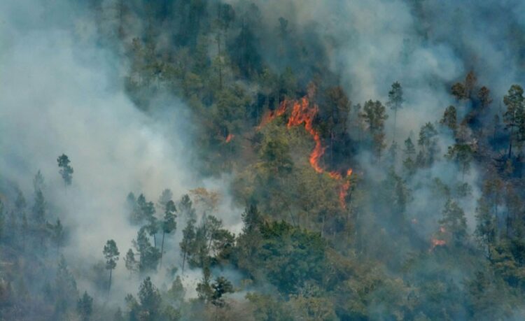 Fotografía aérea de zonas afectadas por el incendio forestal de grandes proporciones que afecta la meseta de Pinares de Mayarí, en el municipio de Mayarí, provincia de Holguín, Cuba, el 28 de febrero de 2023. Foto: Juan Pablo CARRERAS/ACN.