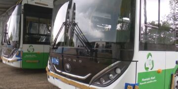 Ómnibus Yutong propulsados por biogás refinado que comenzarán a funcionar en el municipio de Martí, en Matanzas. Foto: TV Yumurí.