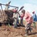 Las dificultades crecientes en la producción, el deterioro de la infraestructura y las deudas millonarias configuran un panorama crítico para la industria azucarera cubana. Foto: Yudaisis Moreno Benítez / Trabajadores.