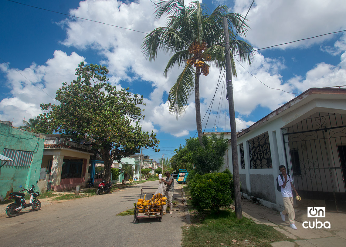 Vendedor de cocos en el reparto Sevillano. Foto: Otmaro Rodríguez.