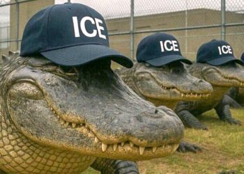 Foto publicada en la página oficial X del Departamento de Seguridad Nacional de EE UU sobre Alligator Alcatraz, el centro de detención de inmigrantes ubicado en el Parque Nacional Everglades de Florida.