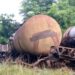 Tren de carga que transportaba miel se descarriló en Mayabeque el 1 de septiembre de 2025. Foto: Tomada del perfil de Facebook de Eduardo Rodríguez Dávila.