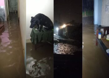 Collage con fotos publicadas por el periodista Cuscó Tarradel/FB.