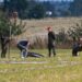 Rusia drones Polonia