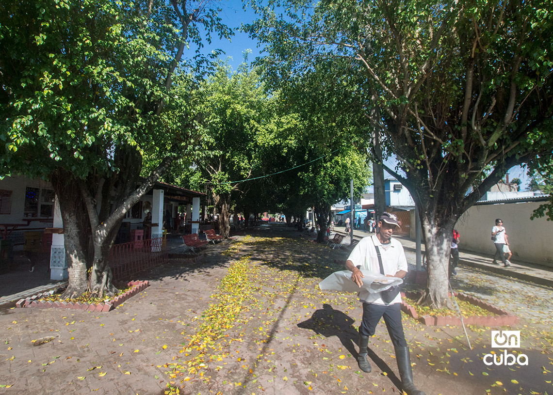 Vendedor de dulce de coco en el bulevar de San José de las Lajas. Foto: Otmaro Rodríguez.