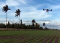 De 2009 datan las primeras experiencias del uso de drones en la agricultura cubana. Foto:  TelePinar