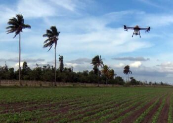 De 2009 datan las primeras experiencias del uso de drones en la agricultura cubana. Foto:  TelePinar