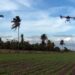De 2009 datan las primeras experiencias del uso de drones en la agricultura cubana. Foto:  TelePinar