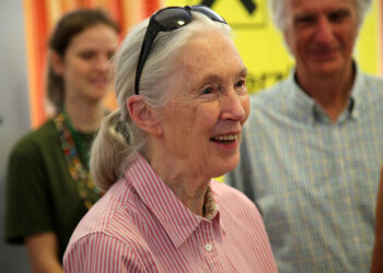 Dra. Jane Goodall. Foto: Franz Johann Morgenbesser/Wikimedia.