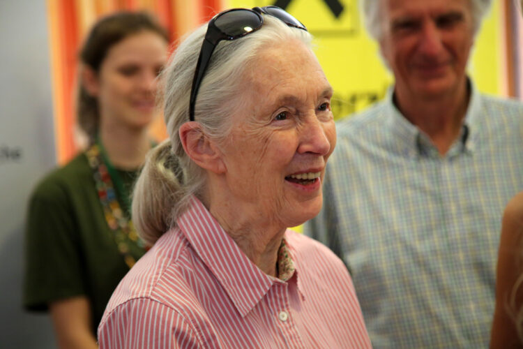Dra. Jane Goodall. Foto: Franz Johann Morgenbesser/Wikimedia.