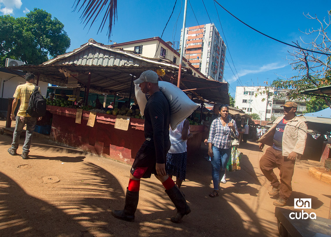 Personas y precios en el mercado agropecuario de Tulipán, en La Habana. Foto: Otmaro Rodríguez.