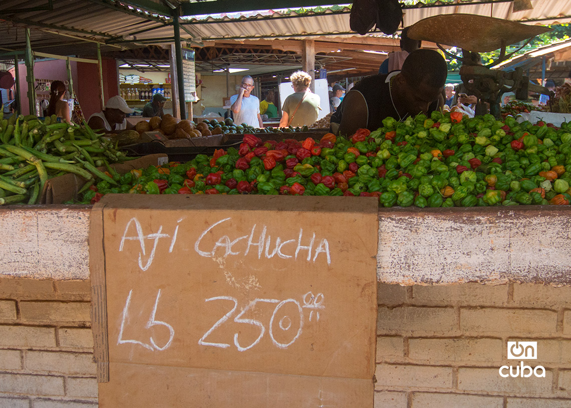 Productos y precios en una tarima de un mercado en La Habana. Foto: Otmaro Rodríguez.