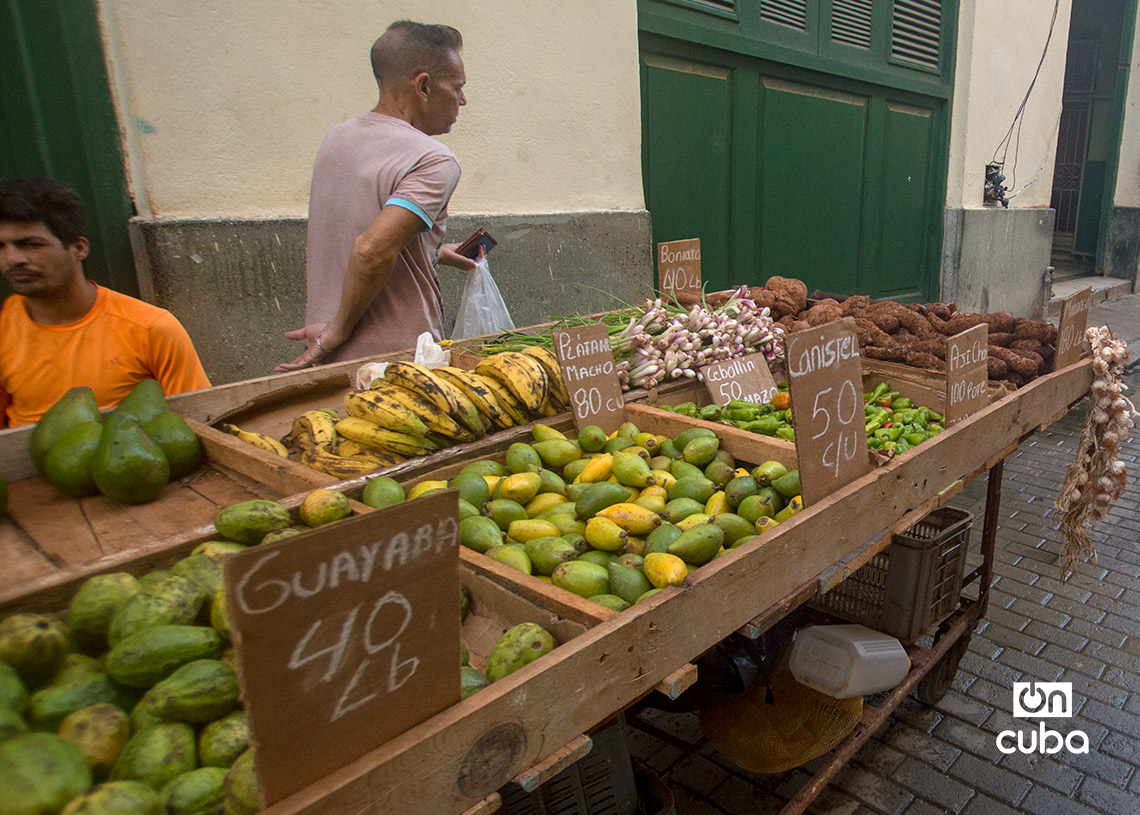 Productos agrícolas con sus precios, en una carretilla en La Habana. Foto: Otmaro Rodríguez.