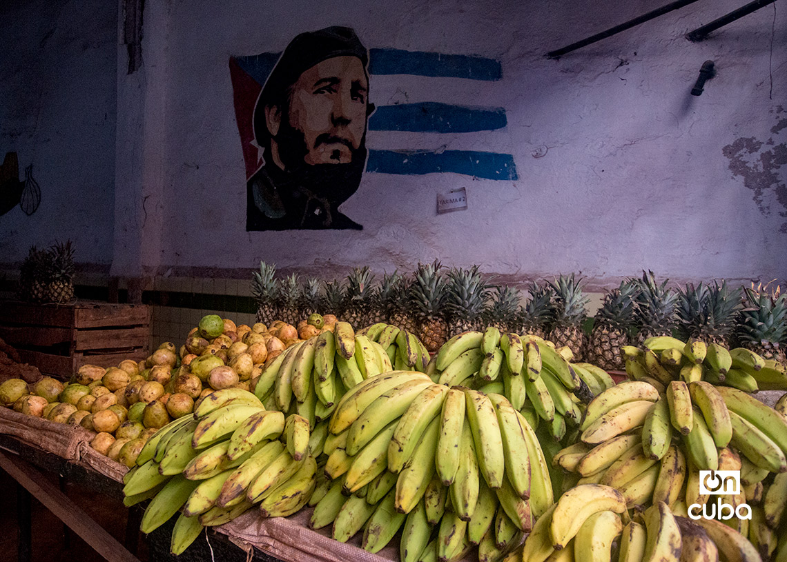 Productos agrícolas en un mercado en La Habana. Foto: Otmaro Rodríguez.