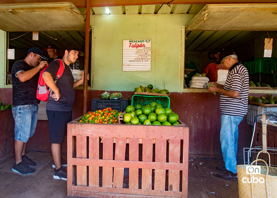 Personas y precios en el mercado agropecuario de Tulipán, en La Habana. Foto: Otmaro Rodríguez.