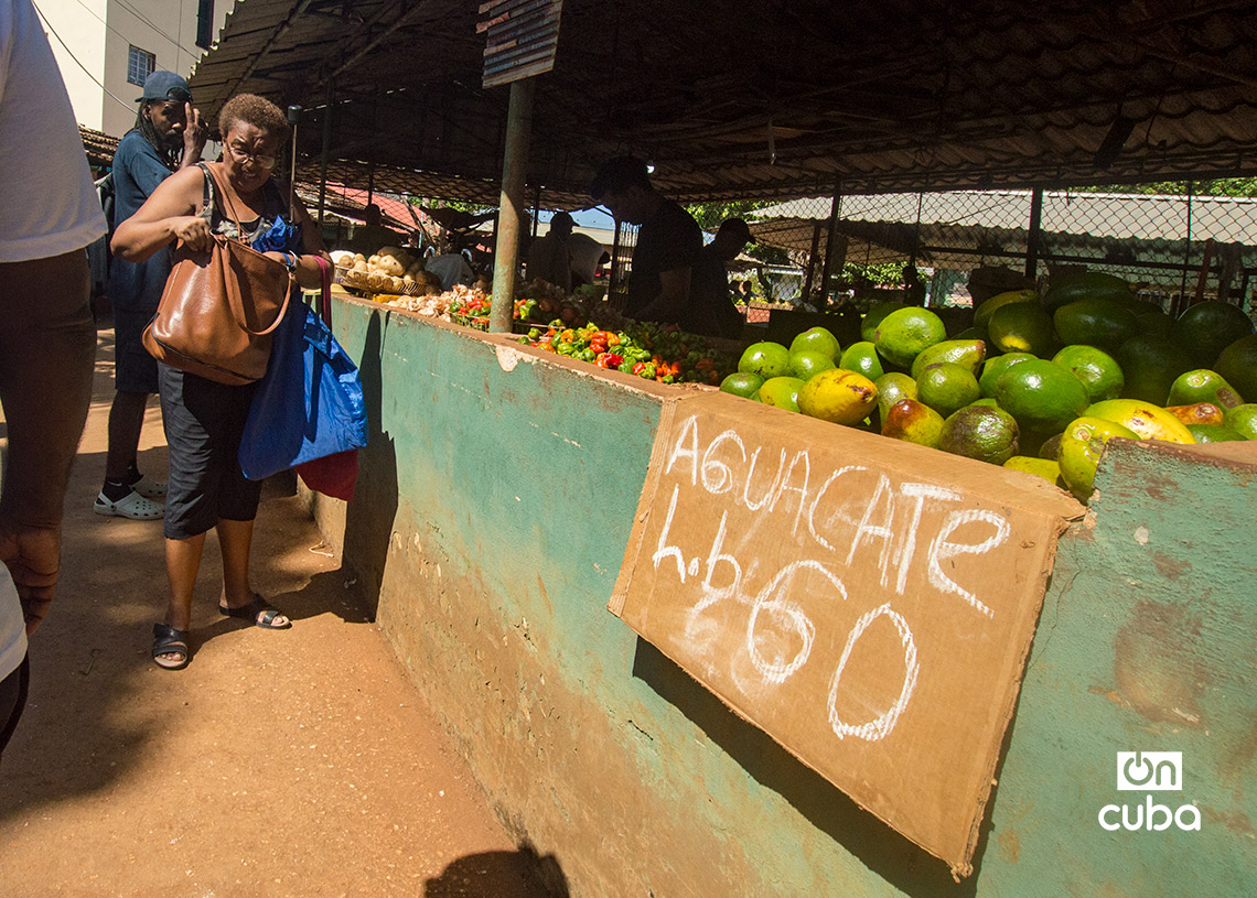Personas y precios en el mercado agropecuario de Tulipán, en La Habana. Foto: Otmaro Rodríguez.