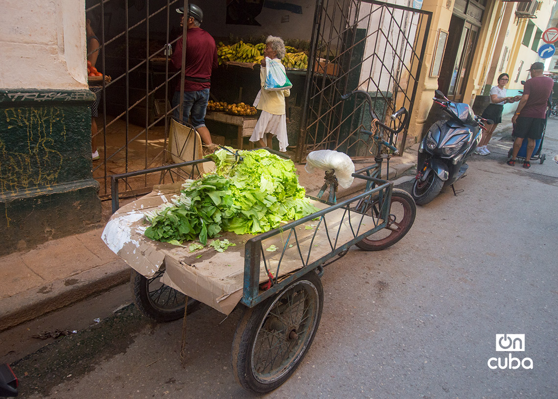 Triciclo a la entrada del mercado de la calle Empedrado, en La Habana. Foto: Otmaro Rodríguez.