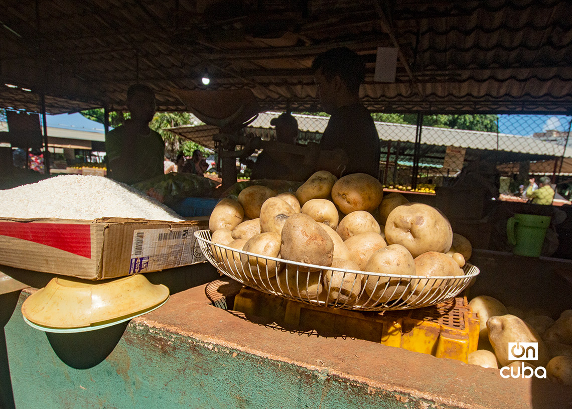 Venta de papa a 350 pesos la libra en un mercado agropecuario en La Habana. Foto: Otmaro Rodríguez.