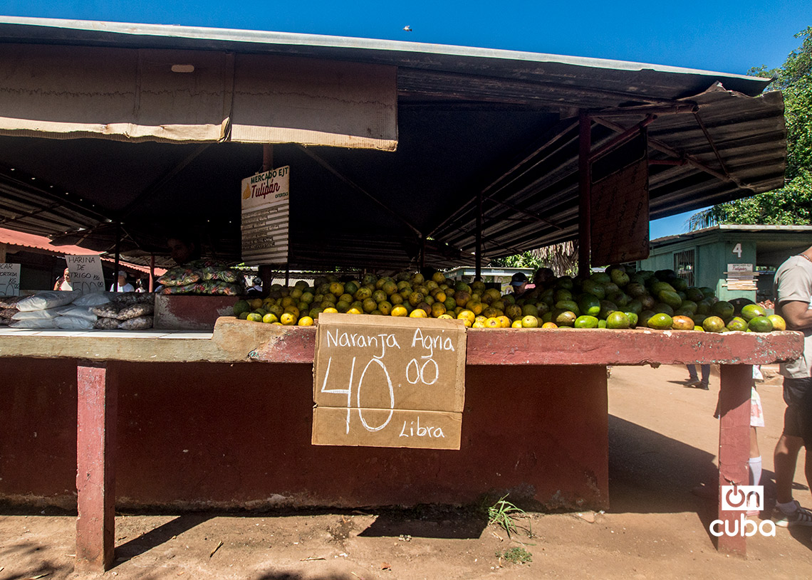 Productos y precios en una tarima de un mercado en La Habana. Foto: Otmaro Rodríguez.