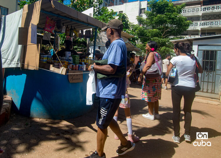 Personas y precios en el mercado agropecuario de Tulipán, en La Habana. Foto: Otmaro Rodríguez.