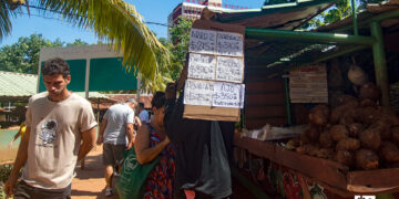 Personas y precios en el mercado agropecuario de Tulipán, en La Habana. Foto: Otmaro Rodríguez.