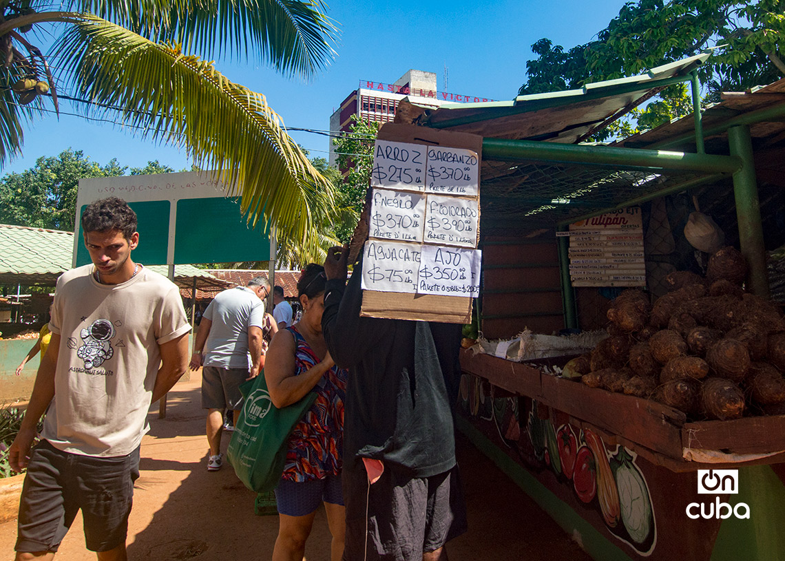 Personas y precios en el mercado agropecuario de Tulipán, en La Habana. Foto: Otmaro Rodríguez.