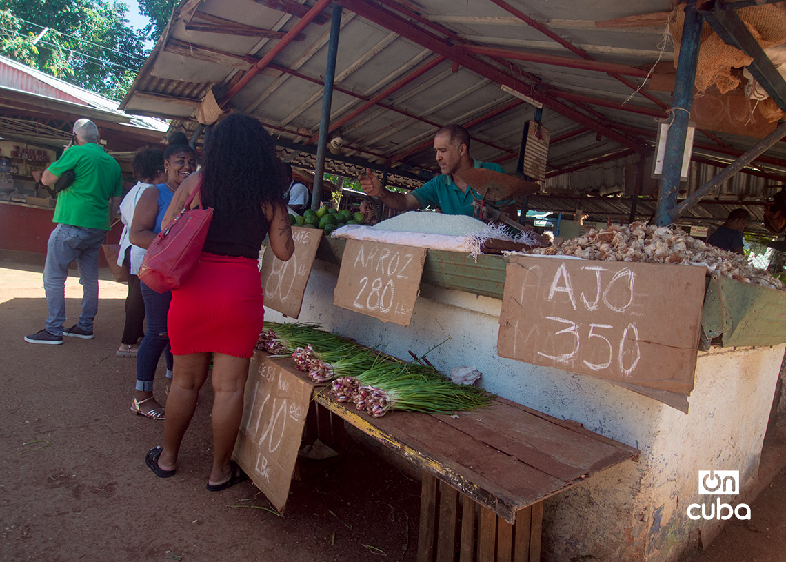 Productos y precios en una tarima de un mercado en La Habana. Foto: Otmaro Rodríguez.