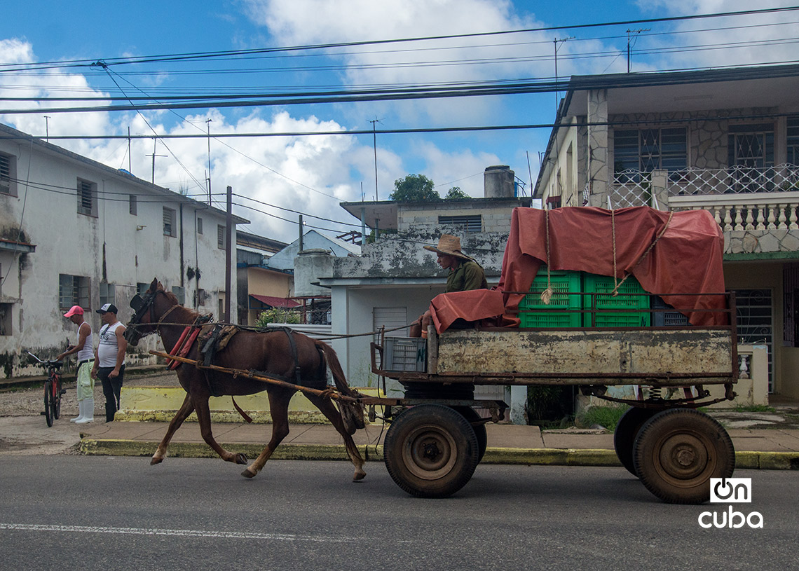 Coche transportando alimentos en San José de las Lajas. Foto: Otmaro Rodríguez.