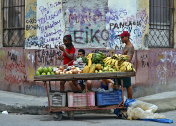 Foto: EFE/ Ernesto Mastrascusa.