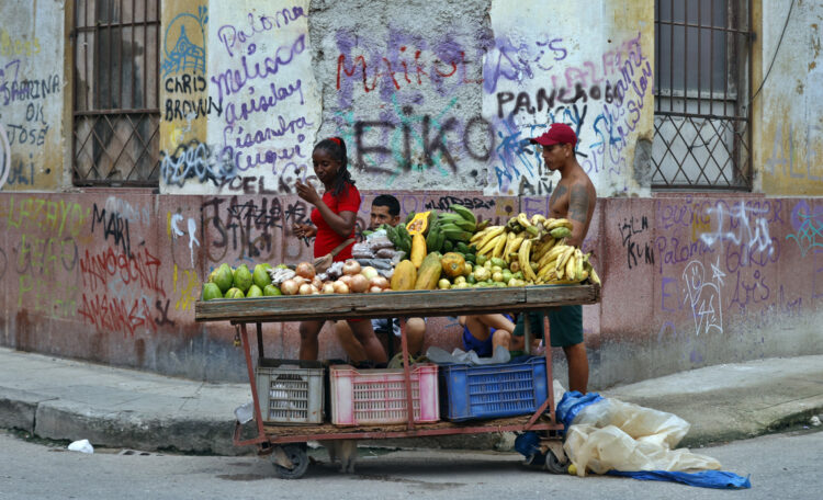 Foto: EFE/ Ernesto Mastrascusa.