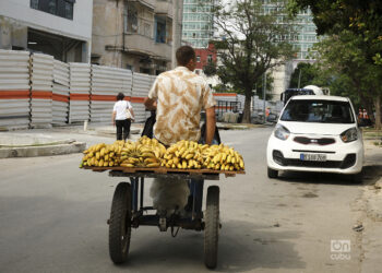 Foto: Néster Núñez.