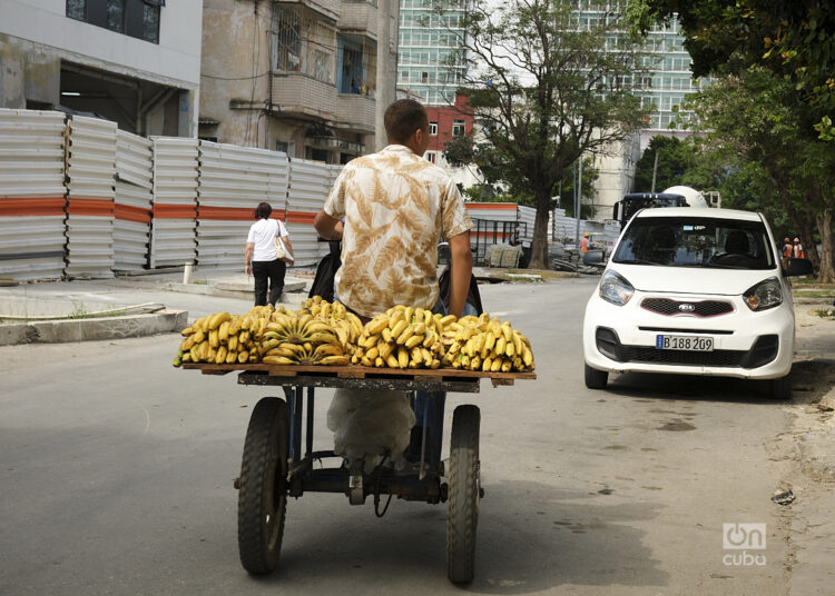 Foto: Néster Núñez.