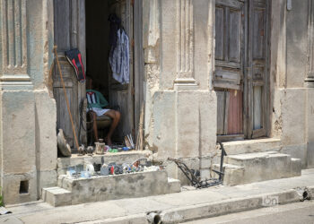 Foto: Néster Núñez.