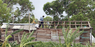 Un hombre repara el techo de su vivienda en el municipio de Guama, en Santiago de Cuba, tras el paso del huracán Melissa. Foto: Ernesto Mastrascusa / EFE.