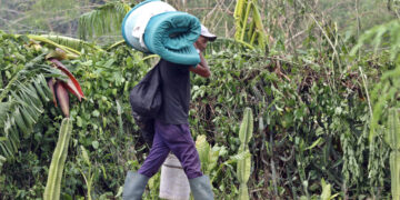 Un hombre carga una colchoneta en el municipio de Guama, en Santiago de Cuba tras el paso del huracán Melissa. Foto: Ernesto Mastrascusa / EFE.